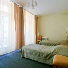 Санаторий Зеленый городок, Московская область