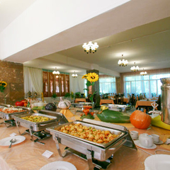 Санаторий Зеленый городок, Московская область