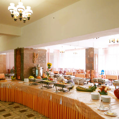 Санаторий Зеленый городок, Московская область