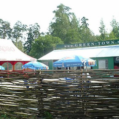 Санаторий Зеленый городок, Московская область