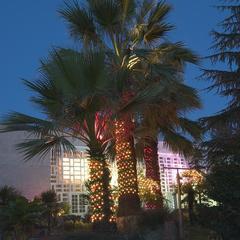 Пансионат Изумруд, Сочи, Краснодарский край