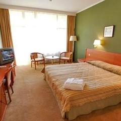 Спа-отель Артурс, Московская область