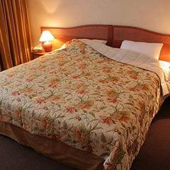 Спа-отель Артурс, Московская область