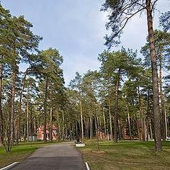 Пансионат Маслово, Московская область