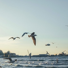 Отель Де Ла Мапа, Анапа, Краснодарский край