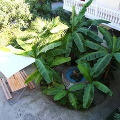 Отель Цветочная, Краснодарский край