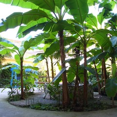 Отель Цветочная, Краснодарский край