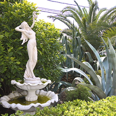 Гостевой дом Лакоста, Адлер, Краснодарский край