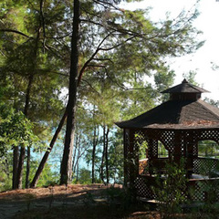 Пансионат Шексна, Вардане, Краснодарский край