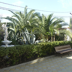 Гостевой дом Лакоста, Адлер, Краснодарский край