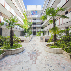 Пансионат Нептун, Адлер, Краснодарский край