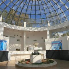 Пансионат Нептун, Адлер, Краснодарский край