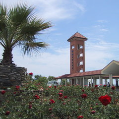 Пансионат Шексна, Вардане, Краснодарский край