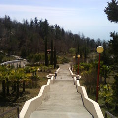 Пансионат Шексна, Вардане, Краснодарский край