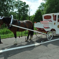 Оздоровительный комплекс Бор, ФГУП ОПК, Московская область