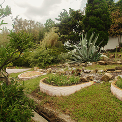 Санаторий Автотранспортник России, Агой, Краснодарский край