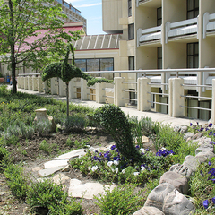 Санаторно-курортный комплекс АкваЛоо, Лоо, Краснодарский край