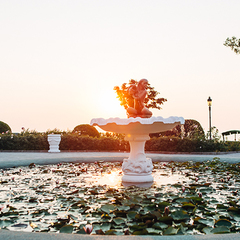 Отель Пальмира Палас, Крым