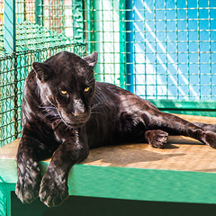 Санаторий Октябрьский, Краснодарский край