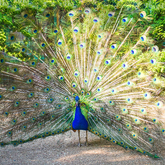 Санаторий Октябрьский, Краснодарский край