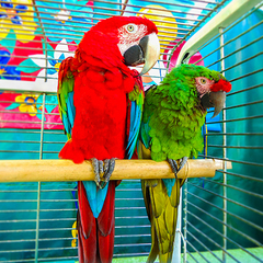 Санаторий Октябрьский, Краснодарский край