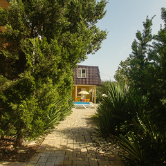 Гостевой дом Тамара, Геленджик, Краснодарский край