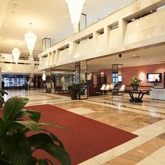 Гостиница Аэростар, Москва, Московская область