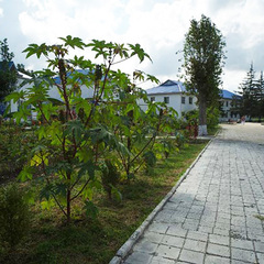 Пансионат Солнечный берег, Анапа, Краснодарский край