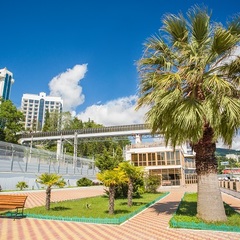 Санаторий Мыс Видный , Хоста, Краснодарский край