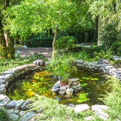 Санаторий Мыс Видный , Хоста, Краснодарский край