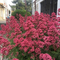 Пансионат Восход, Алушта, Крым