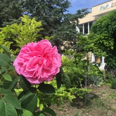 Пансионат Восход, Алушта, Крым