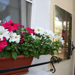 Гостиница Адмиралтейская, Санкт-Петербург, Ленинградская область