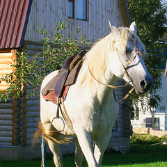 Коттеджный комплекс Шиболово-горки, Московская область