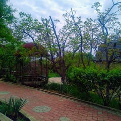 Пансионат 1000 Звезд , Крым