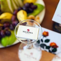 Гостиница Максима Панорама, Москва, Московская область