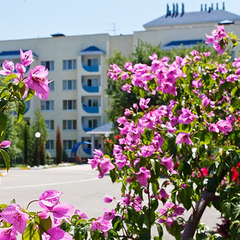 Пансионат Лучезaрный, Николаевка, Крым