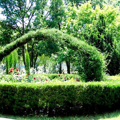 Пансионат Лучезaрный, Николаевка, Крым