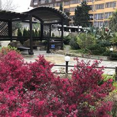 Пансионат Каисса, Адлер, Краснодарский край