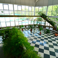 Пансионат Лучезaрный, Николаевка, Крым