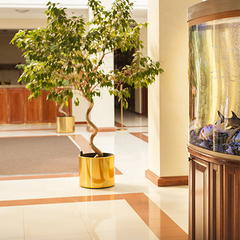 Санаторий Синдика, Нальчик, Республика Кабардино-Балкария