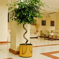 Санаторий Синдика, Нальчик, Республика Кабардино-Балкария