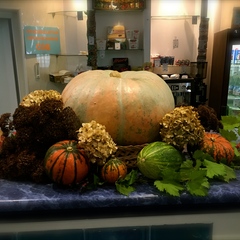 Пансионат Альфа, Бетта, Краснодарский край