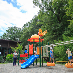 Пансионат Альфа, Бетта, Краснодарский край