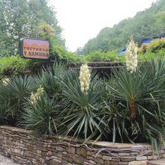 Пансионат Альфа, Бетта, Краснодарский край