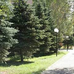 Санаторий Сосны ВОС, Быково (Московская область), Московская область