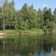 Санаторий Сосны ВОС, Быково (Московская область), Московская область