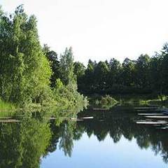 Санаторий Сосны ВОС, Быково (Московская область), Московская область