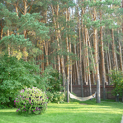 Усадьба Еловое , Абзаково, Республика Башкортостан