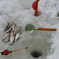 Санаторий Сосны ВОС, Быково (Московская область), Московская область